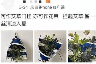 小萨：今天是福克斯的大秀 他攻防两端都很有侵略性&率队获胜